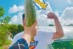 网红吃瓜爆料大全怀孕,揭秘娱乐圈怀孕大事件